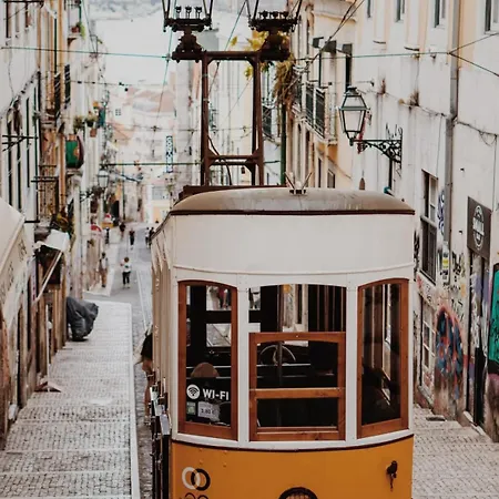 Typical Lisbon Apartment Principe Real Лісабон